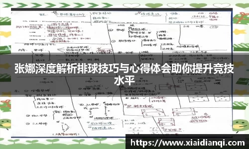 张娜深度解析排球技巧与心得体会助你提升竞技水平