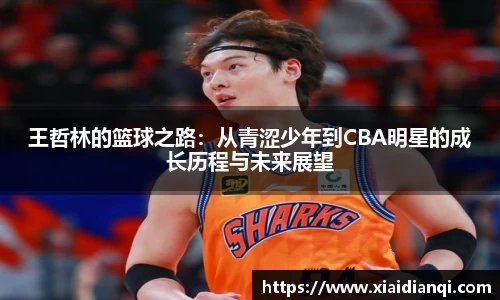 王哲林的篮球之路：从青涩少年到CBA明星的成长历程与未来展望