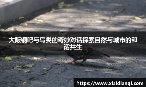 雷竞技raybetapp官网
