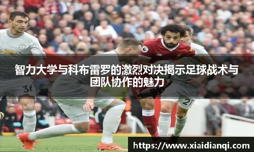 雷竞技raybetapp官网